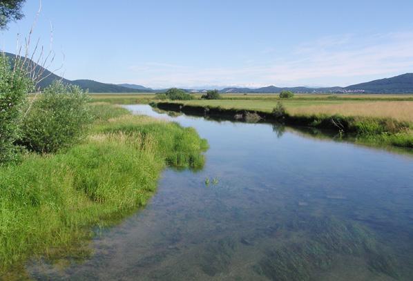 Cerkniško jezero (Notranjski regijski park) Opis območja: presihajoče jezero (poleti je suho, pozimi pa večinoma napolnjeno z vodo), mokrotni travniki, obsežna trstišča in grmišča.