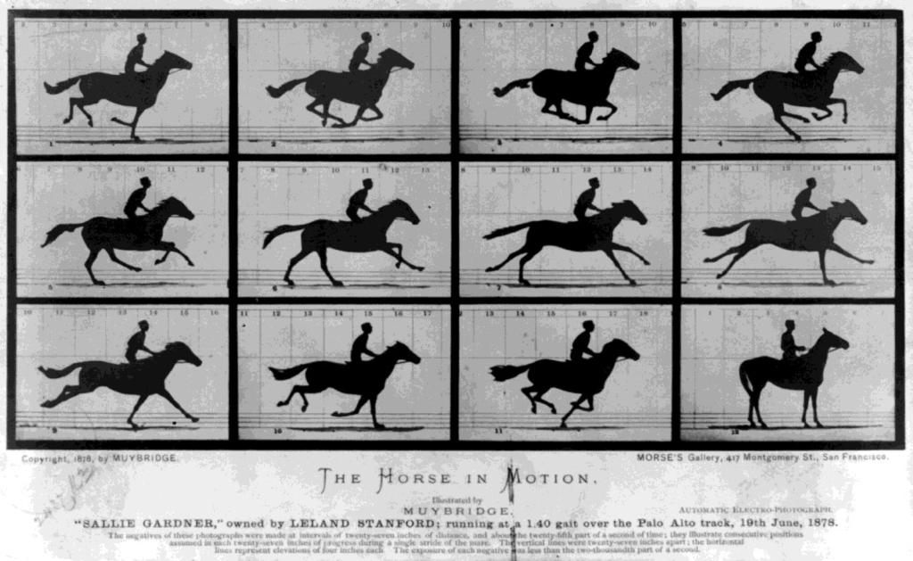 2.1. Začetki intervalne fotografije K razvoju intervalne fotografije je vsekakor pripomogel fotograf Eadweard Muybridge, ki je na način, ki ga danes poznamo pod imenom stop motion, fotografiral konja