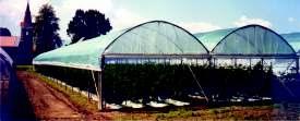 FOLIJA - FILC - TKANINA UPORABA: za prekrivanje v rastlinjakih in proizvodnih tunelih, pokrivanje prodajnih prostorov v vrtnarijah in drevesnicah Artikli: 1.