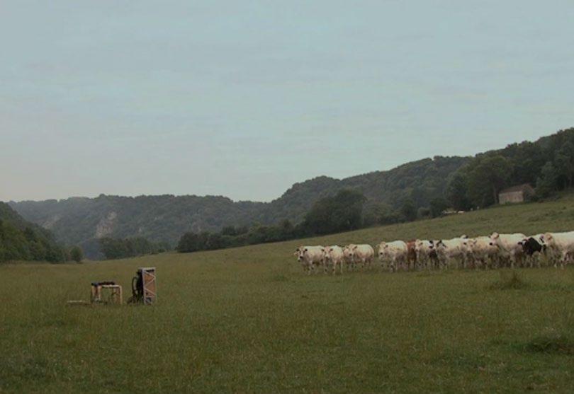 The Tune the Old Cow Died of (Melodija, ki je ubila staro kravo) video performans 2009 6:33 minut (zanka) Yann Leguay & Pacôme Béru gostujoča umetnika v okviru umetniškega programa Working Holidays