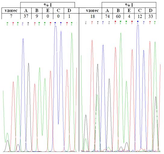 Slika 22: Rezultati določanja zaporedja nukleotidov vzorcev med nevrodiferenciacijo.