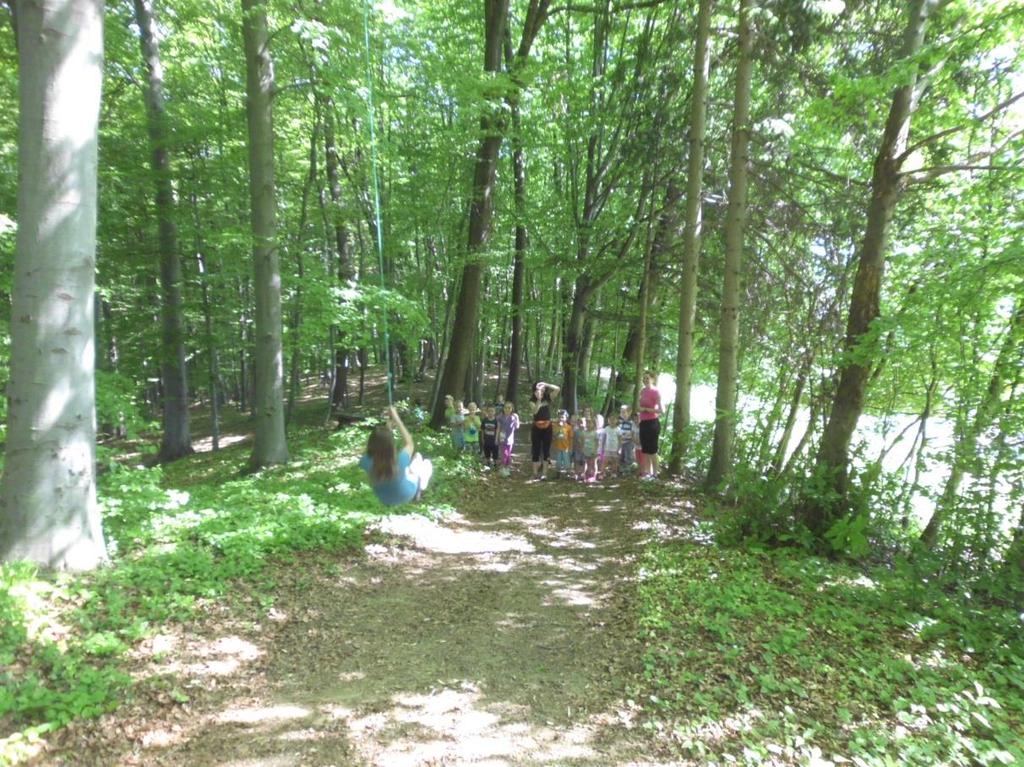 Time for fun games - Group activity Gives instructions for the old games and divides children into groups. Go for a walk around the farm, into the woods together, where they have fun on the swing.