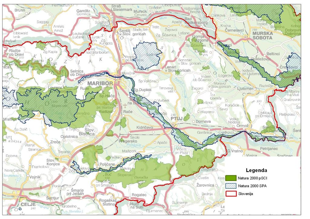 Slika 9: Območje NATURE 2000 v Podravju V preteklem obdobju je na zavarovanih območjih regije bilo izvedenih kar nekaj pomembnih projektov, katerih cilj je bil izboljšanje in ohranitev naravnega