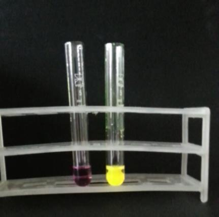 V drugo epruveto s pomočjo kapalke nalijemo enako prostornino destilirane vode. Nato v obe epruveti dodamo 3 kapljice raztopine kalijevega permanganata (slika 10).