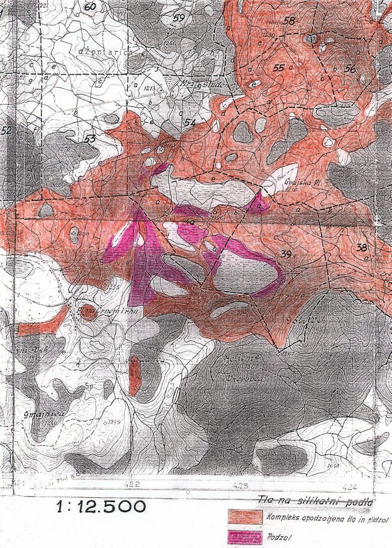 45 Slika 7: Izsek iz gozdarske pedološke karte Pokljuke s kartografskima talnima enotama»kompleks