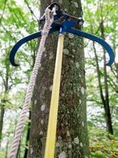 prostora. Zelo je uporaben tudi takrat, ko je težko oceniti nagnjenost, razraščenost vej in poškodbe (npr. trohnoba) drevesa.