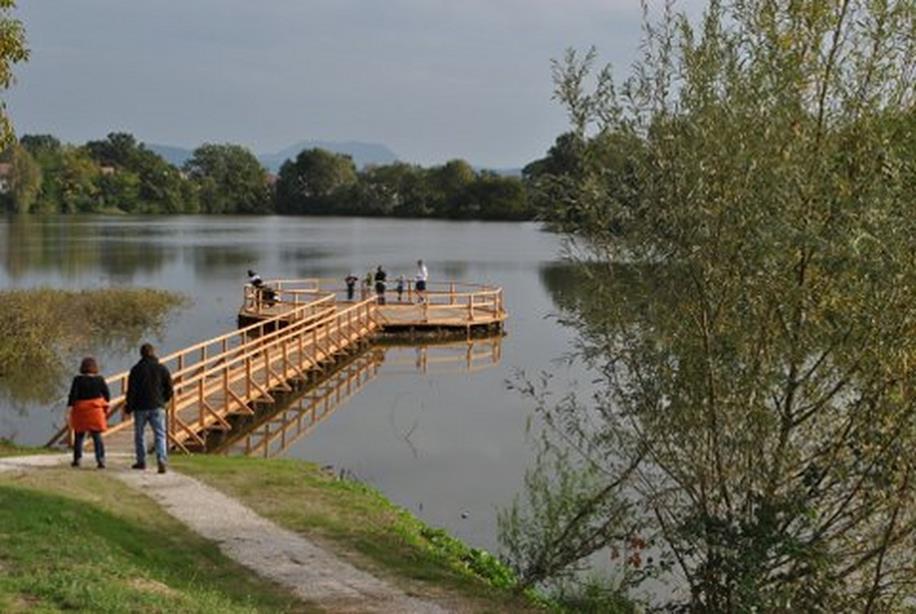 največjem ribniku, t. i. Gajskem ribniku poteka učno-rekreacijska pot s trim postajami in nekaj ribiškimi pomoli.