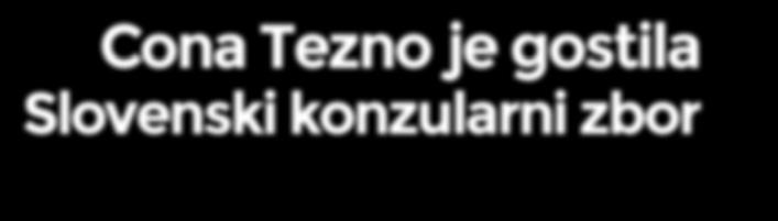 Razgrnitev priložnosti Cona Tezno je gostila Slovenski konzularni zbor Konzularni zbor se je začel V Coni Tezno, v poslovni stavbi Menerge, je bilo v torek, 14.