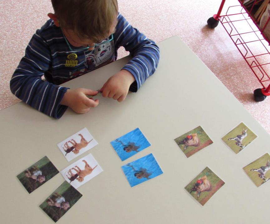 Slika 7: Igra s karticami, na katerih so slike psov Za drugo terapijo smo izbrali čisto drugačno dejavnost, in sicer poligon s psom.