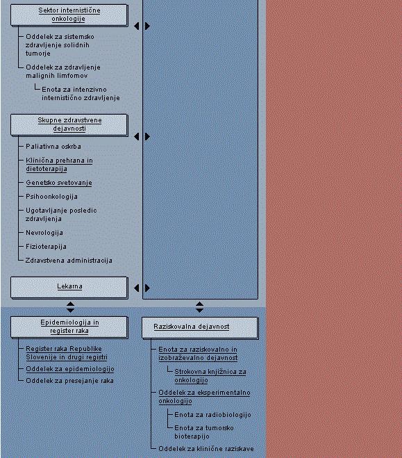 Slika 1. Veljavni organigram. 3.1.2 Kadrovska struktura OI Kadrovska struktura se prilagaja glede na argumentirane potrebe OI.
