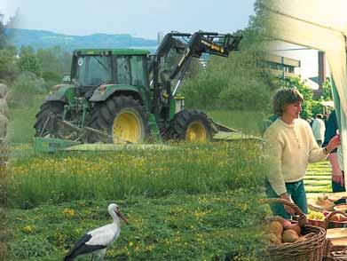 Možnosti za Naturo 2000 v okviru programa za razvoj podeželja Enotno plačilo na kmetijo ni več vezano na proizvodnjo.