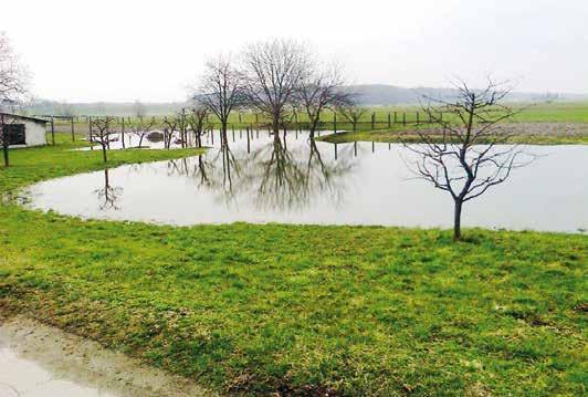 6 ZASTOPANJE april 2019 Poplavljanje Drave predstavlja veliko nevarnost Konec marca je v Skorbi pri Ptuju na pobudo civilne iniciative»poplave ob reki Dravi«in v organizaciji območnih enot Kmetijsko