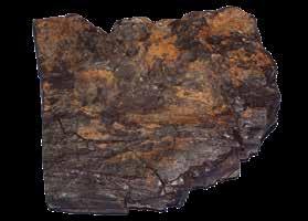 Manganovi de ki jih najdemo Manganoxide bekanntesten P Karawanken Poznamo še več različnih načinov fosilizacije, ki običajno niso zelo pogosti.