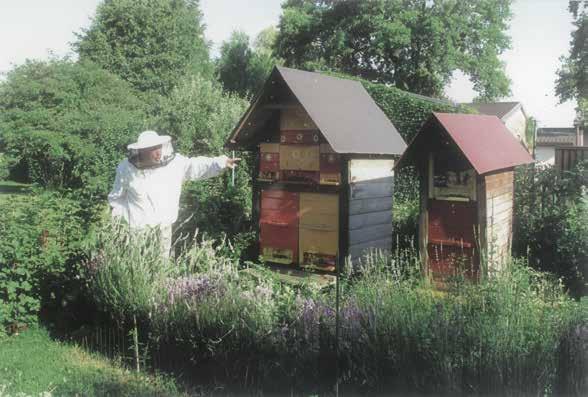 Čebelarska dejavnost Oče, ljubiteljski čebelar, me je od otroštva vzgajal v čebelarskem duhu. 26.