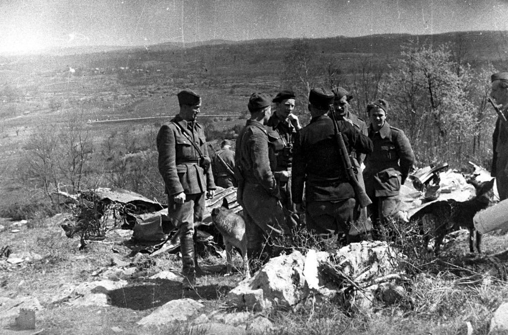 Slika 4: Zavezniška komisija pri pregledu ostankov strmoglavljenega letala v Beli Krajini,