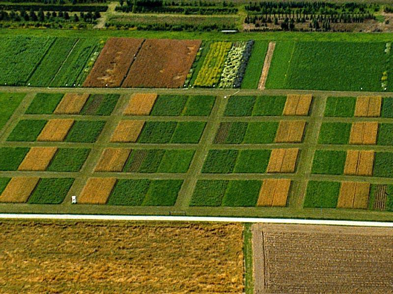 Vpliv ekološke pridelave na kakovost tal (Švica) dolgotrajni poskus (DOK) na FiBL z začetkom l.