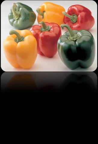 paprike različnih barv in oblik); vrstna raznovrstnost zajema vse na Zemlji živeče vrste