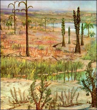 75 milijonov let kasneje so se pojavile prve kopenske rastline psilofiti ali protovci.