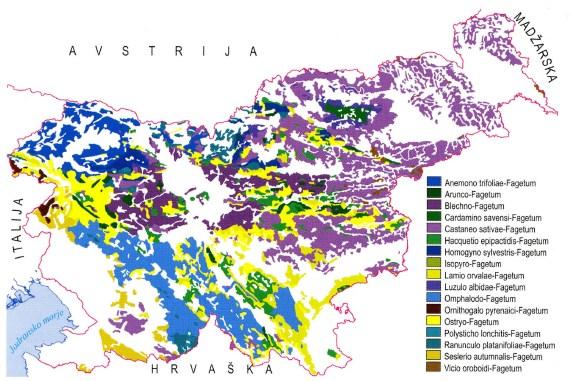 11 3 MATERIAL IN METODE 3.1 OBJEKT RAZISKAVE Gozdna površina Slovenije je razdeljena na 30.195 oddelkov (Podatkovna... Odseki, 2013).