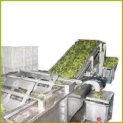 Za bolj občutljivo zelenjavo lahko uporabljamo dve različici pralnih strojev, ki delujeta s pomočjo tekočih trakov.