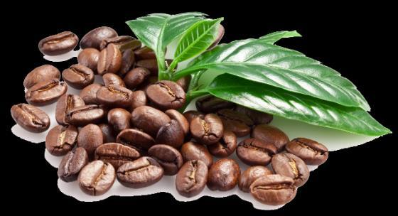 celulita. Namesto dragih izdelkov, lahko uporabite»običajno«kavo za piling.