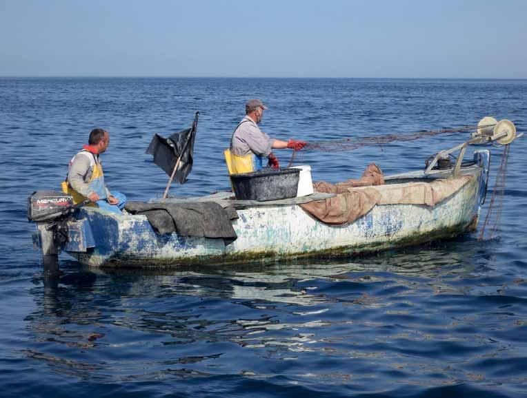 Gospodarski ribolov, pomembna gospodarska dejavnost pred letom 1990, tudi v povezavi s tovarno ribjih konzerv Delamaris, je danes omejena skoraj izključno na mali priobalni ribolov.