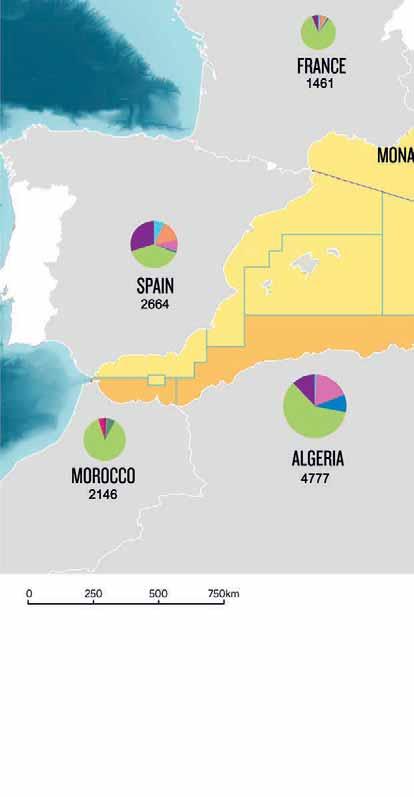 MALI RIBOLOV: POMEMBEN SEKTOR V SREDOZEMSKEM MORJU Zaradi prekomernega izkoriščanja se ribolovni viri v Sredozemlju soočajo z resnimi težavami.