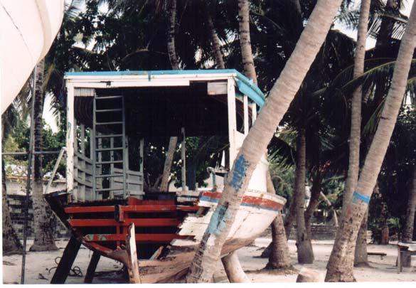 Slika 37: Poškodovan dhoni zaradi tsunamija Fotografirala: Polona Zapušek Mnogo čolnov in tradicionalnih maldivskih ladij (dhonijev) je bilo poškodovanih zaradi tsunamija.