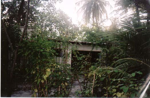 Slika 44: Opuščena hiša na otoku Biyadoo Fotografirala: Polona Zapušek Mnogo hiš in turističnih bungalovov je bilo poškodovanih