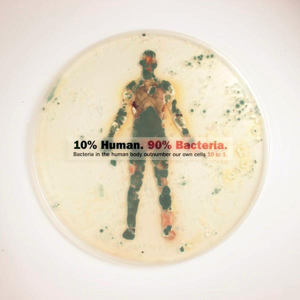 Bakterije so naše najbližje okolje 1. Savage D. Annu Rev Microbiol 1977;31:107 33. 2. Big think. Humans: 10% Human and 90% Bacterial. Available at: http://bigthink.