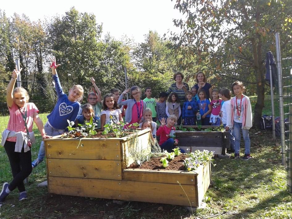 EKO VRT V letošnjem šolskem letu smo se odločili, da postavimo šolski eko vrt. V ta namen smo oblikovali interesno dejavnost»mladi vrtnarji«.