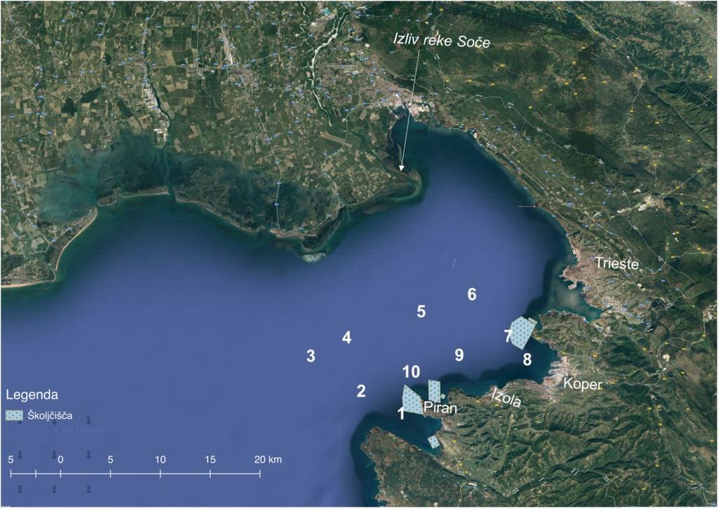 16 3 MATERIAL IN METODE 3.1 OPIS METODE DELA Vzorčenje je na območju slovenskega morja potekalo na desetih vzorčnih postajah (VP), ki so med seboj oddaljene približno 5,56 km.