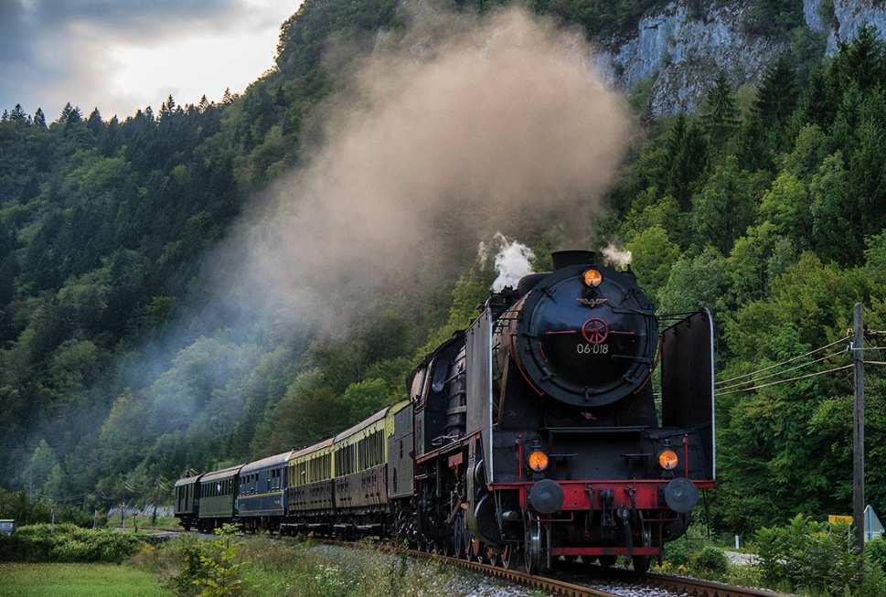 Leta 1988 so prvič z muzejskim vlakom iz Gorice na Bled pripotovali gostje iz Italije, ki so vožnjo vsako leto ponovili.