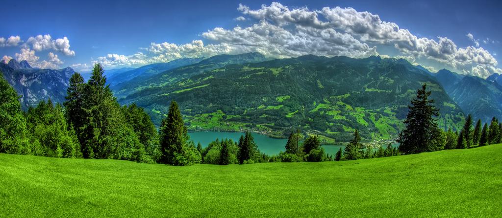Gozdna zemljišča Na za~etku leto{njega leta je bilo v Sloveniji evidentiranih približno 11.000 km 2 gozdnih zemlji{~.