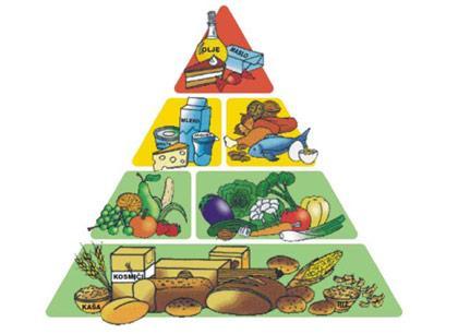 Slika 1: Prehranska piramida (CINDI Slovenija, 2016) Osnova zdrave prehrane naj bodo žitni izdelki (kruh, testenine, riž, misliji).