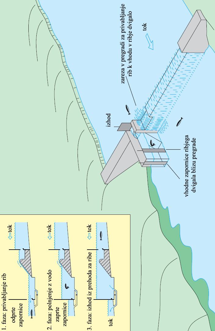 Figure 3: A lock fishway,, adopted from Thorncraft and Harris (2000).
