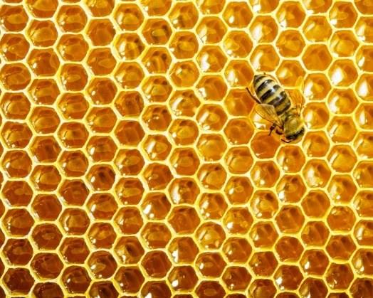 V celice satja čebele shranjujejo med in cvetni prah. Vzorec satja je sestavljen iz mnogih šesterokotnikov. Čebele z izbiro te oblike najbolje izkoristijo prostor.