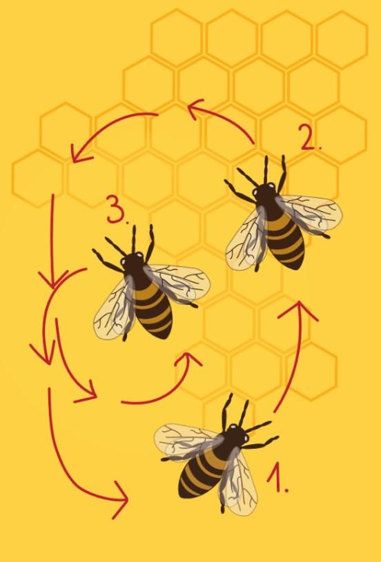 3.5.3.3 Gibanje čebele Čebela je glavni element v animaciji, ki med animacijo nikoli ne izgine. Ima kontinuirano gibanje iz ene pozicije v drugo.
