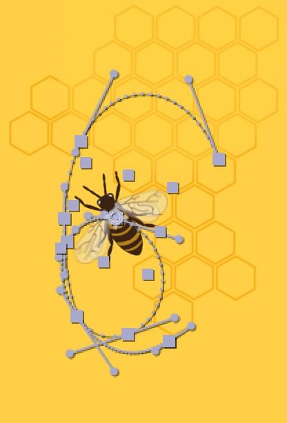 V tem času izvede čebela rahlo gibanje naprej in nazaj, kar simulira letenje na mestu. Animacija se dogaja znotraj likovnega elementa čebele.