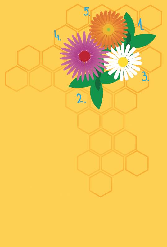 3.5.3.3 Gibanje medovitih rastlin Medovite rastline se prikažejo v drugem kadru animacije. Prikazujejo se v vnaprej določenem vrstnem redu. Z učinkom transparentnosti (ang.