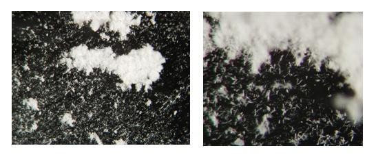 Vpliv elektrogalvanskega sistema na izločanje vodnega kamna Stran 56 Slika 4 7: Mikroskopska slika vodnega kamna iz vode po