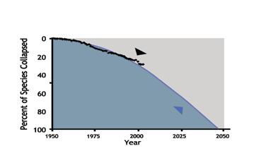 Od krize do miru: Rešitev je ekološko veganstvo Odstotek izginulih vrt rib 0 20 40 60 Globalna izguba morskih vrst: Trenutni trend izginevanja vrst Svetovni podatki o številu vrst rib:1950 2003 80