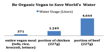 Od krize do miru: Rešitev je ekološko veganstvo Ali nam primanjkuje vode?