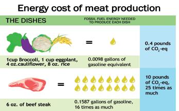 Od krize do miru: Rešitev je ekološko veganstvo Za en goveji zrezek s težo 170 gramov je potrebne 16-krat več energije iz fosilnih goriv kot za en veganski obrok s tremi vrstami zelenjave in rižem.