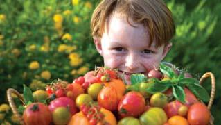 Od krize do miru: Rešitev je ekološko veganstvo Doma pridelano ekološko sadje, ki ga je obral mali vrtnar. III.
