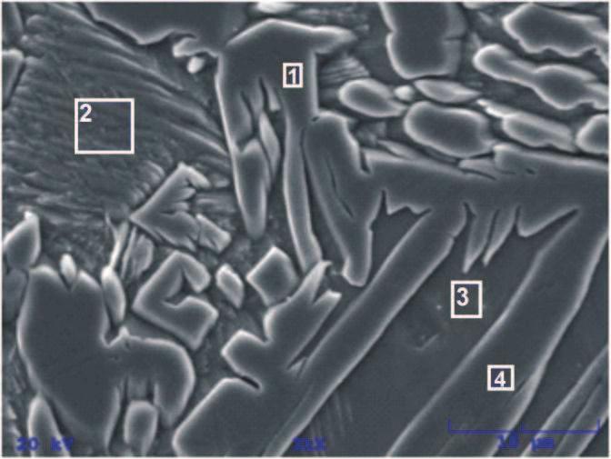 Figure 7. SEM micrograph of CuAlMn SMA wire ø 4.47 mm Table 2.