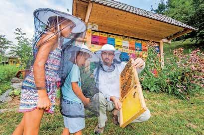 promocijsko sporočilo Apiturizem edinstvena turistična ponudba z visoko dodano vrednostjo V Sloveniji deluje približno 10 tisoč čebelarjev.