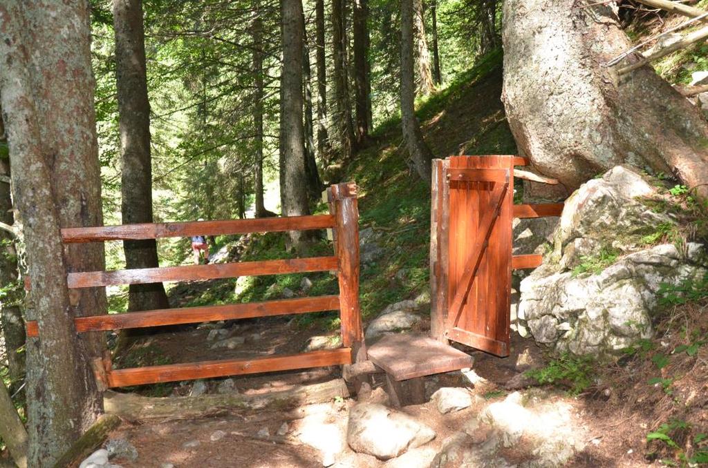 Nacionalni gozdni program je osnovni strateški dokument s področja gozdov in gozdarstva Lastniška struktura slovenskih
