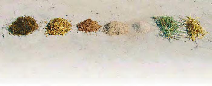 TMRkrmljenje travna silaža koruzna silaža piske tropine žitni mineralna drobljenec krmila seno slama