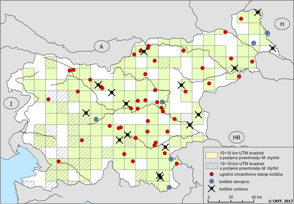 130 Presetnik, P., A. Zamolo, A. Šalamun, V. Grobelnik & A. Lešnik, 2017. Monitoring populacij izbranih ciljnih vrst netopirjev v letih 2016 in 2017. Končno poročilo.